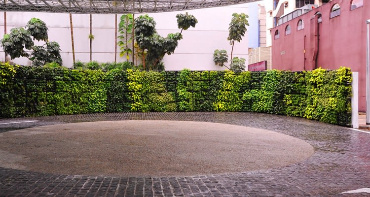 вертикальные сады, зеленые стены, вертикальное озеленение